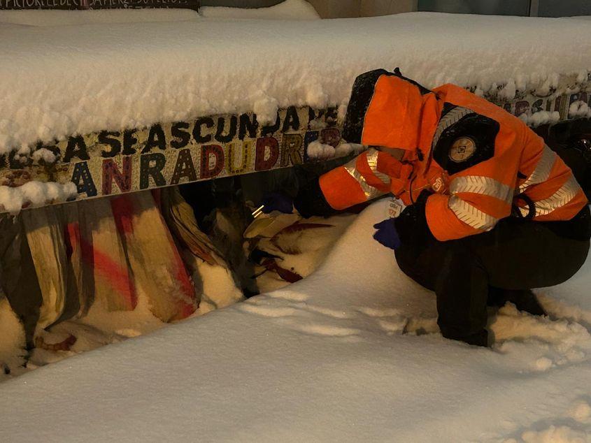 Voluntarii de la Carusel au găsit persoane îngropate în zăpadă FOTO: Carusel