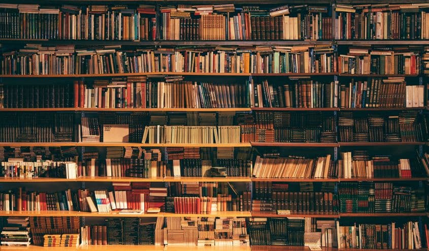 Foto: Alfons Morales / Unsplash.com