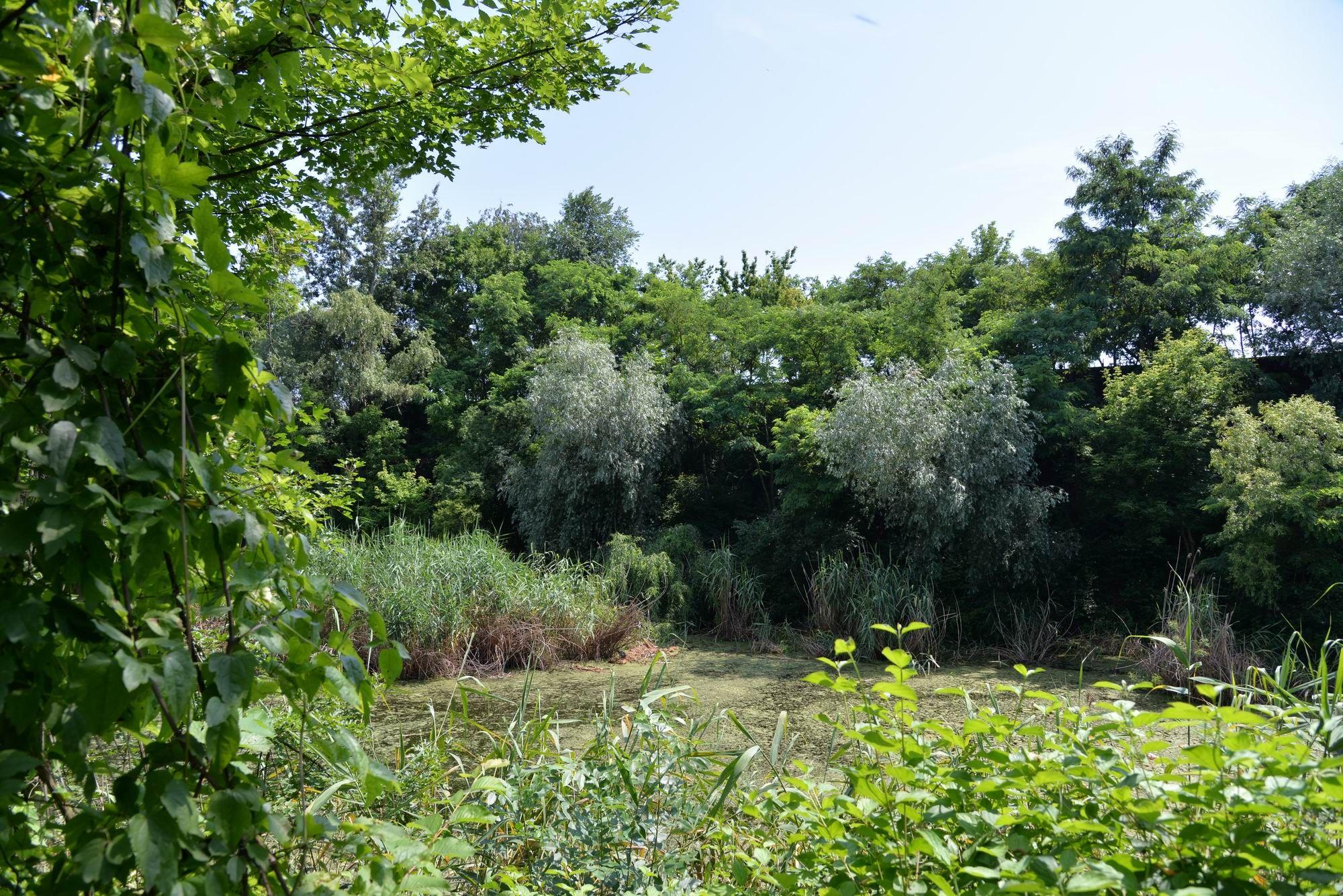 Parcul Sticlăriei din Sector 2, București. Foto Lucian Muntean