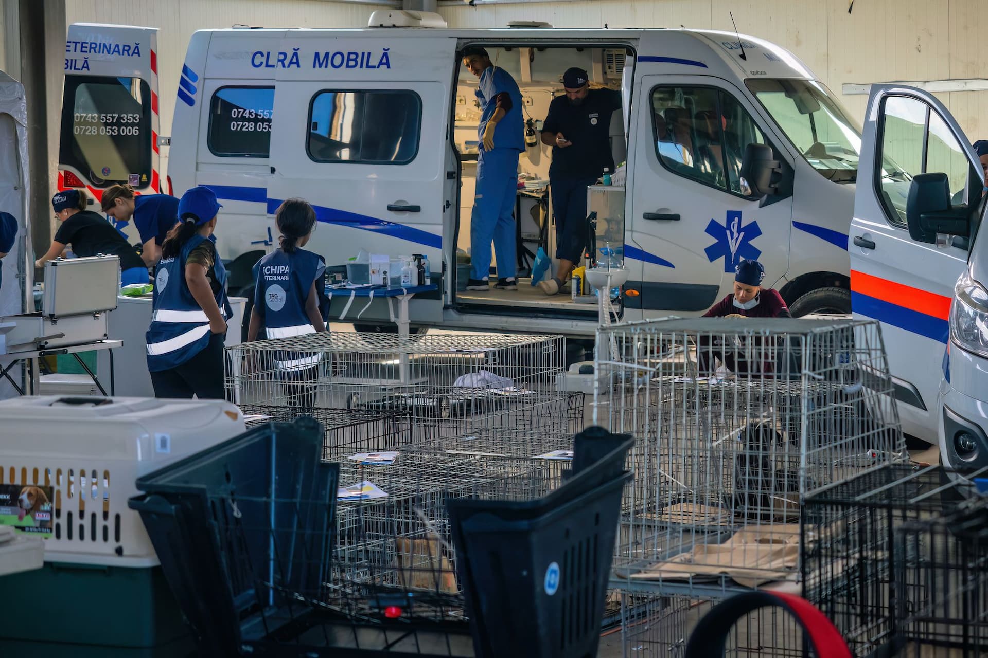 Foto: Loránd Vakarcs