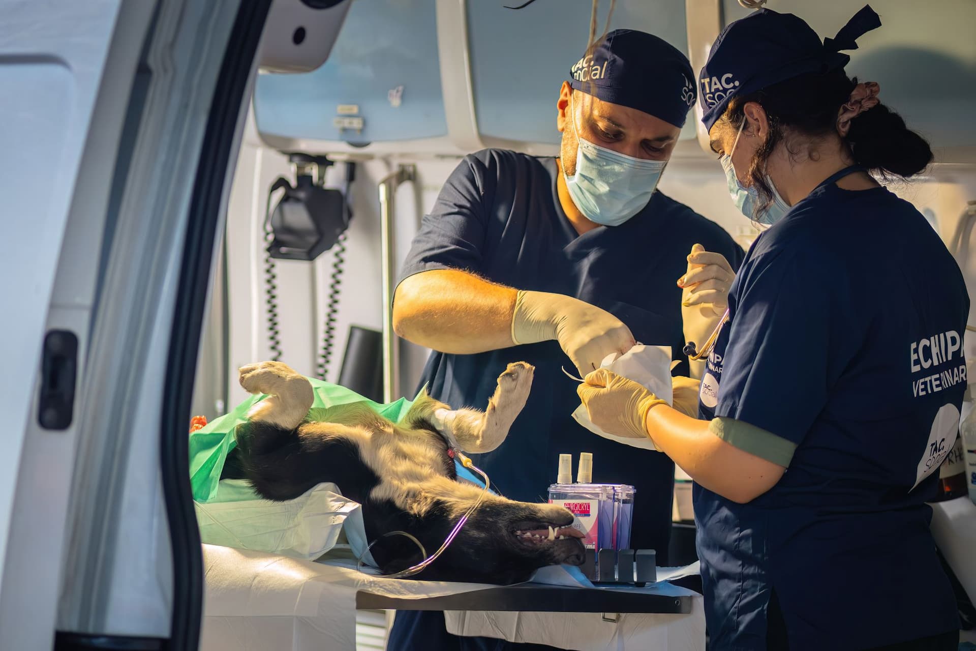 Medicul Răzvan Șuteu. Foto: Loránd Vakarcs