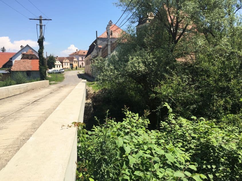 Iulișcă, pe malul râului din Saschiz. Foto: Stephen McGrath