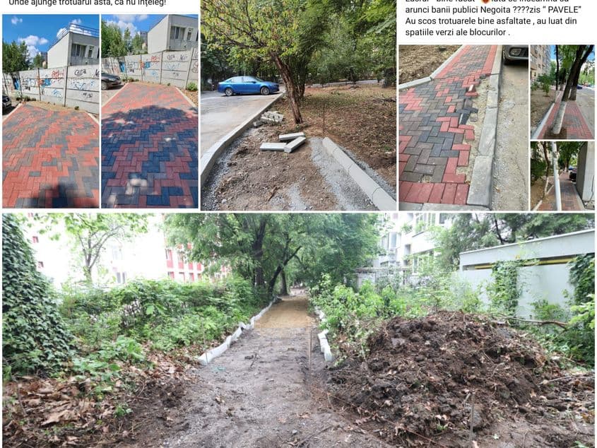 Efectele betonării și pavelelor din sectorul lui Negoiță