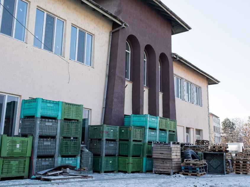 În imagine, fabrica de cornuri din Turda, care livrează marfă în școli și grădinițe din mai multe judeţe. Foto: Raul Ștef