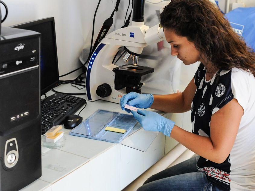 Foto: Lucian Muntean