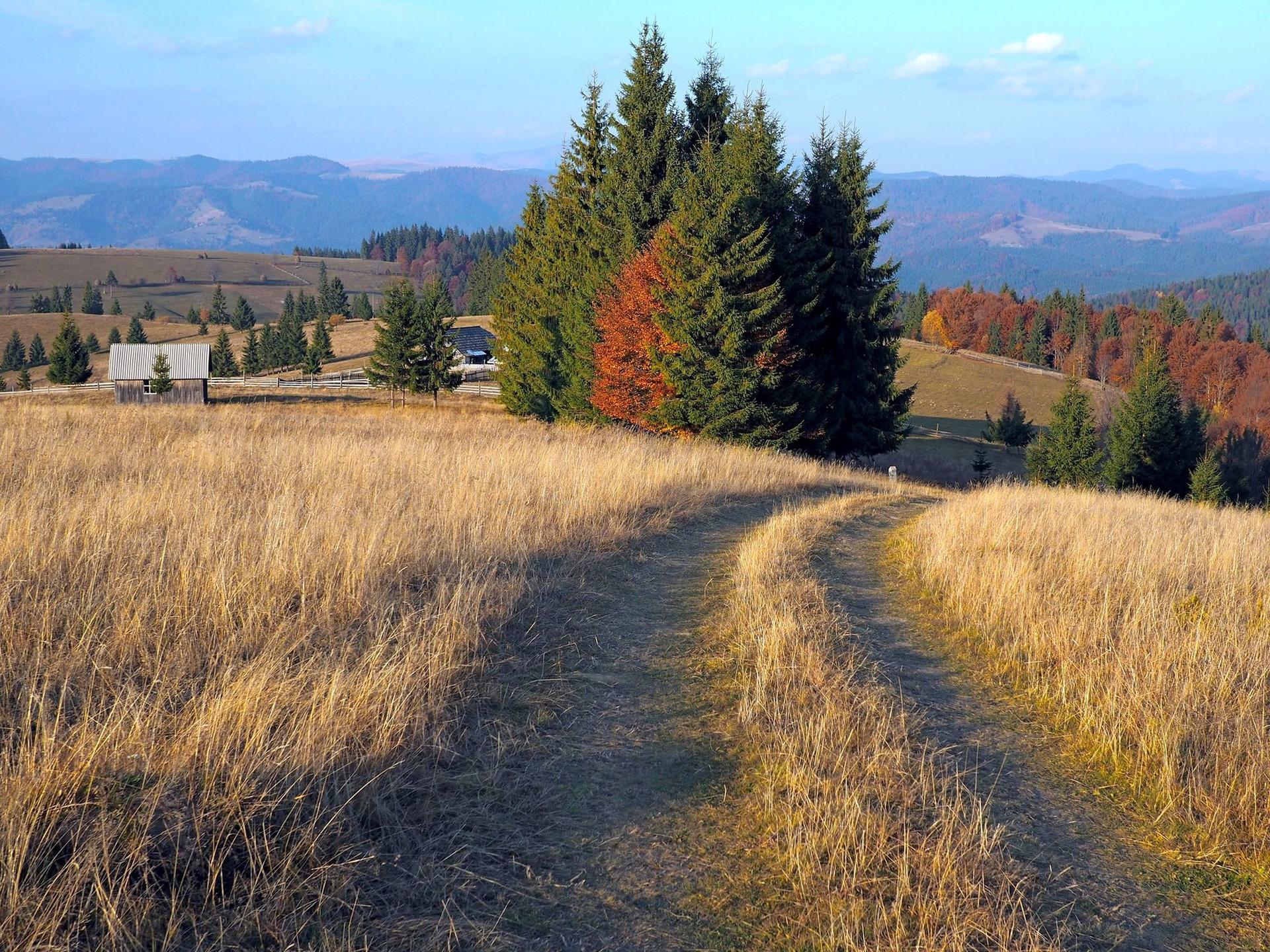 Vedere spre Valea Someșului și Lunca Ilvei de lângă Poiana lui Gălan