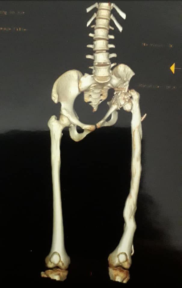 Oasele din bazinul Amirei. Foto: Emilia Iliescu / arhiva personală