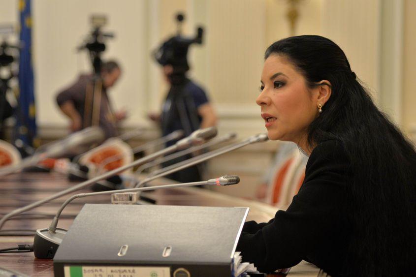 Ana Birchall va fi vicepremier.