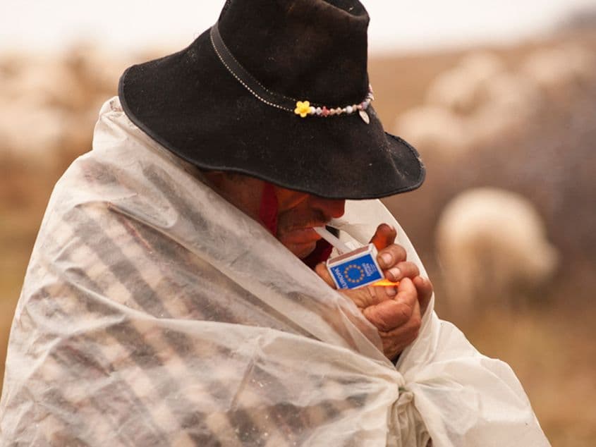 Fotografiile din acest articol sunt realizate de Dragoș Lumpan.  Sursa foto: transhumance.ro