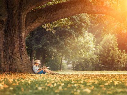 Ce șanse mai au cărțile în epoca Netflix