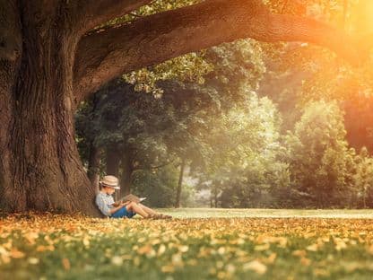 Ce șanse mai au cărțile în epoca Netflix