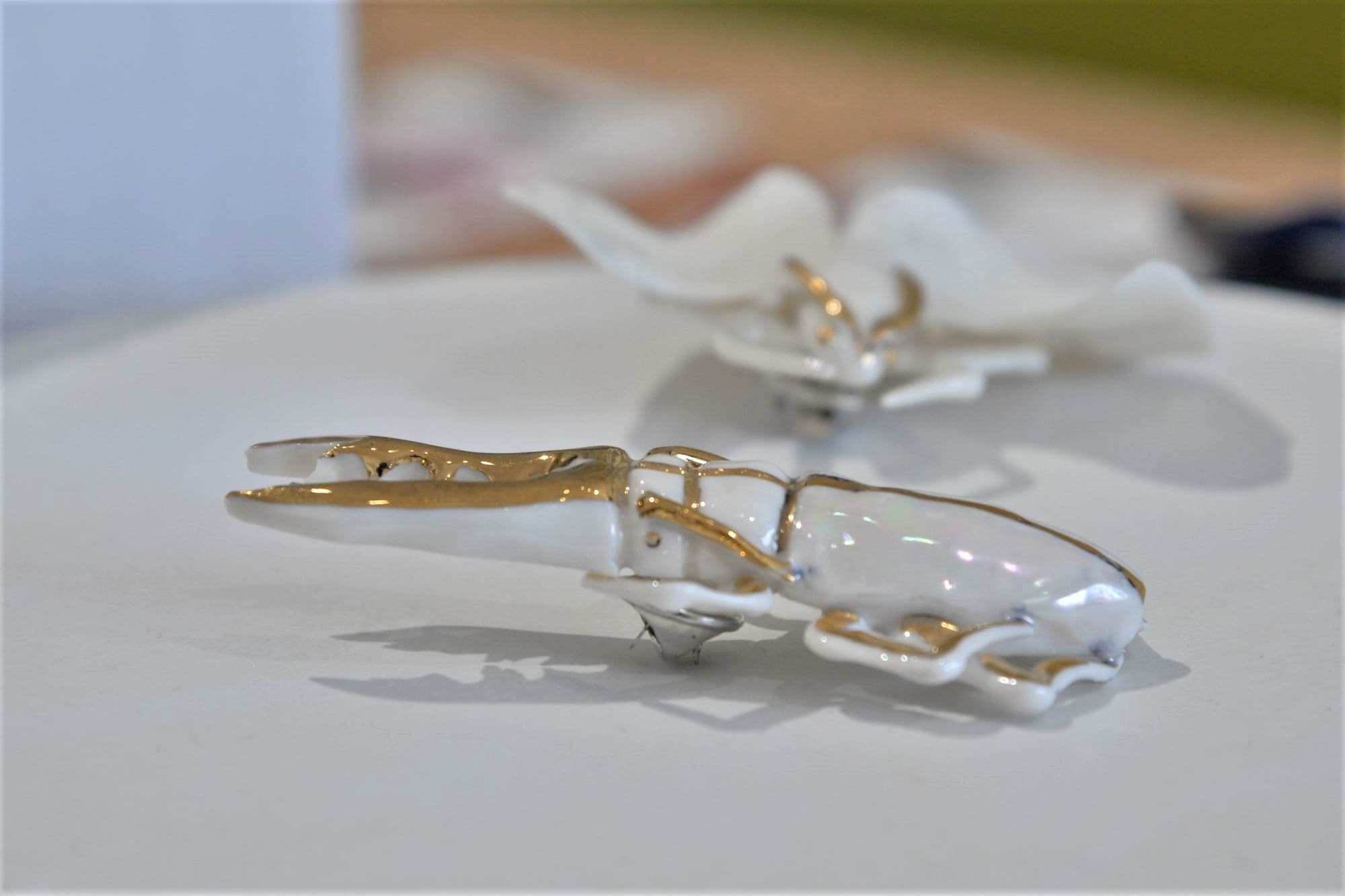 <em>Maria Paltin. Foto Lucian Muntean</em>