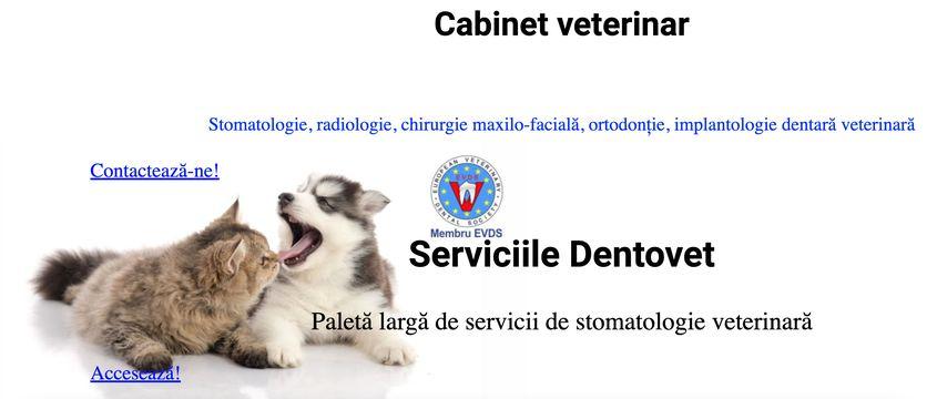 Vechiul site al Dentovet păstrat în arhiva Google