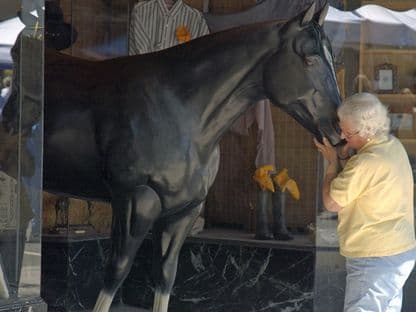 Din Grădinița la Pleasanton