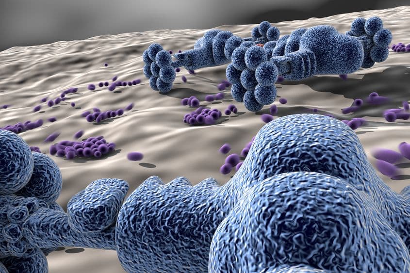Nanoboții pot fi artificiali sau bazați pe virusuri și bacterii reprogramate. Foto: Marek Redesiuk / Dreamstime.com