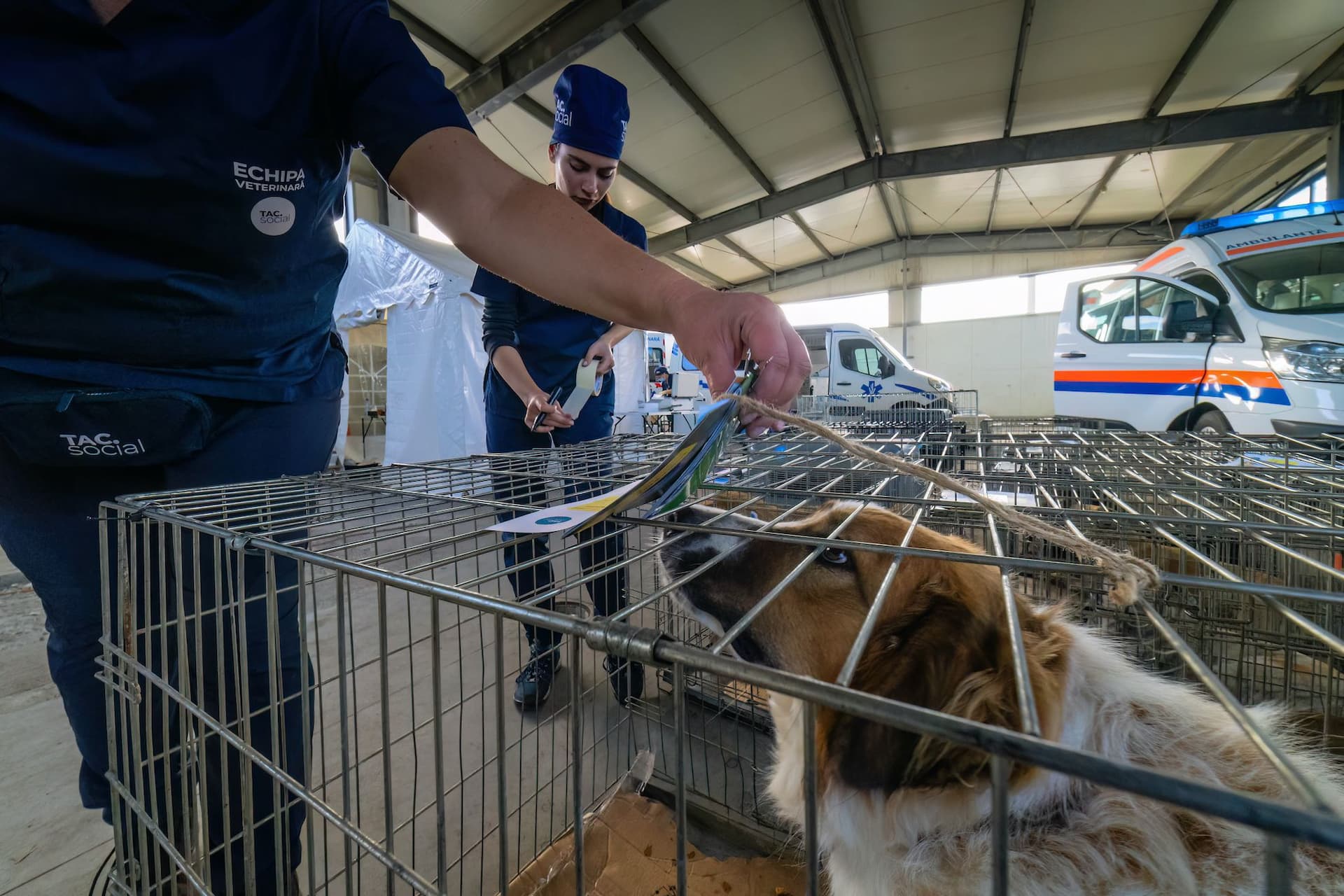 Foto: Loránd Vakarcs