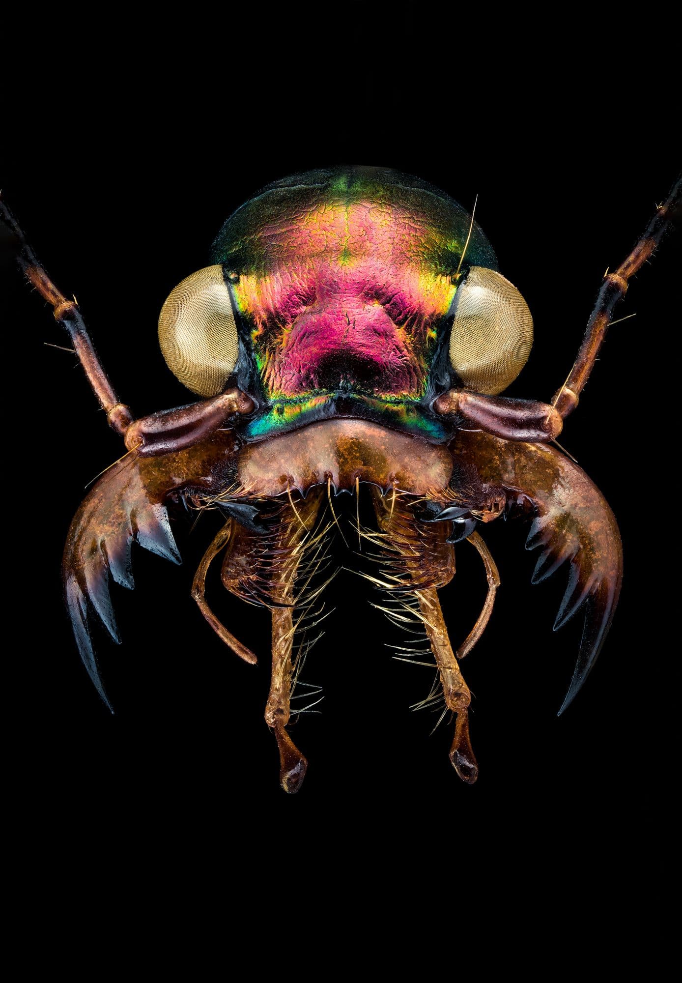 Foto: Eduard Florin Niga