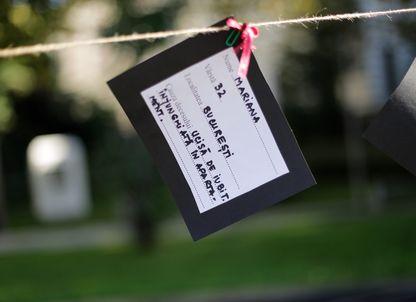 Anul femicidelor. Puterea juridică nu dorește instituirea unei infracțiuni de sine stătătoare, iar MAI se opune colectării de date privind victimele și copiii acestora