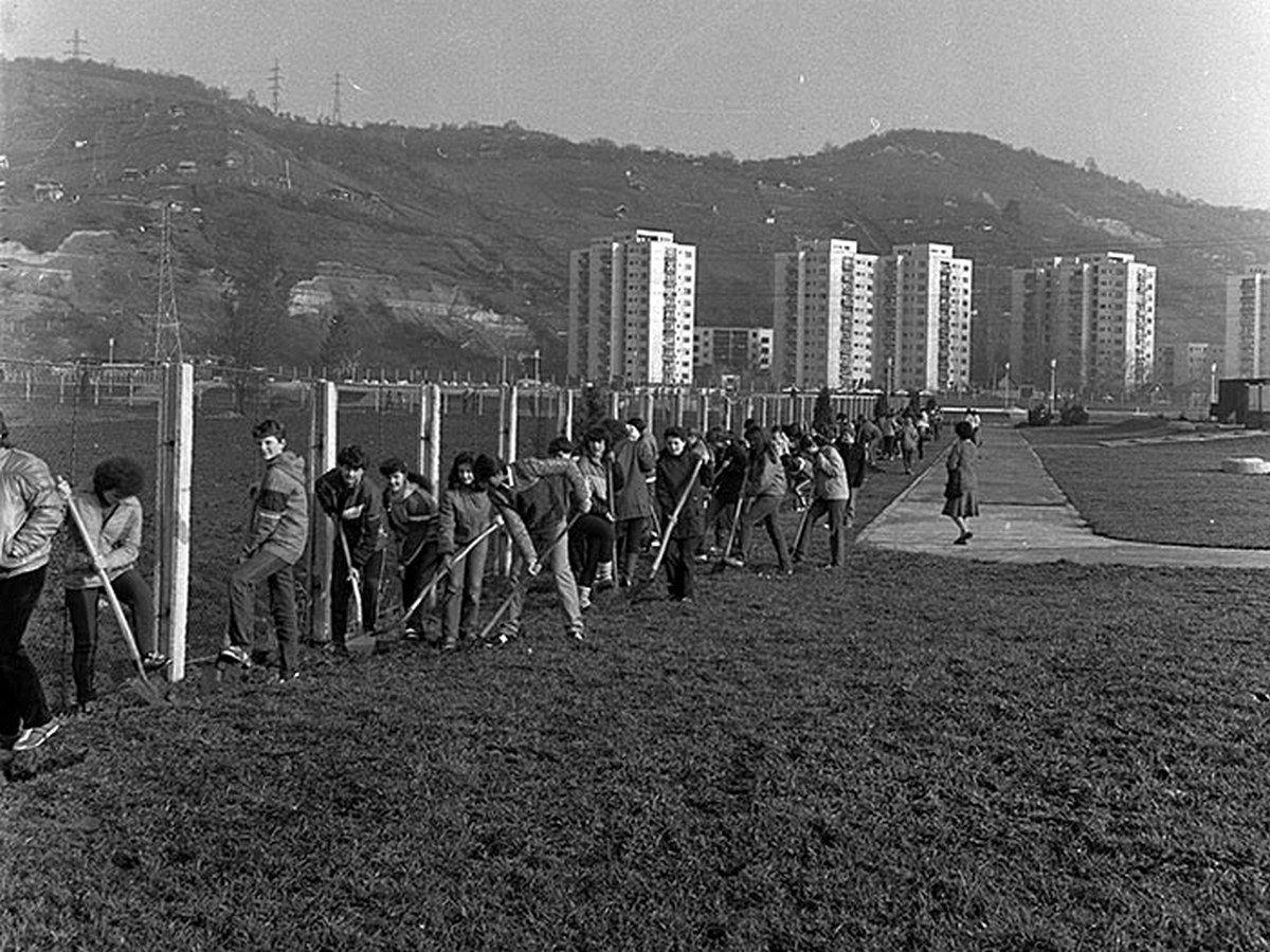 Muncă patriotică la capătul cartierului Grigorescu din Cluj.