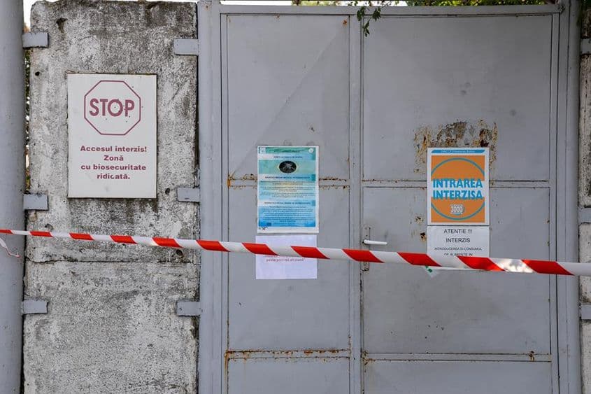 Intrarea de la ferma din Gropeni, marcată cu bandă alb-roșie