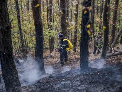 România arde (III). Cum a ajuns țara noastră pe locul doi în UE la incendii de vegetație, cu toate că avem o climă care ne protejează