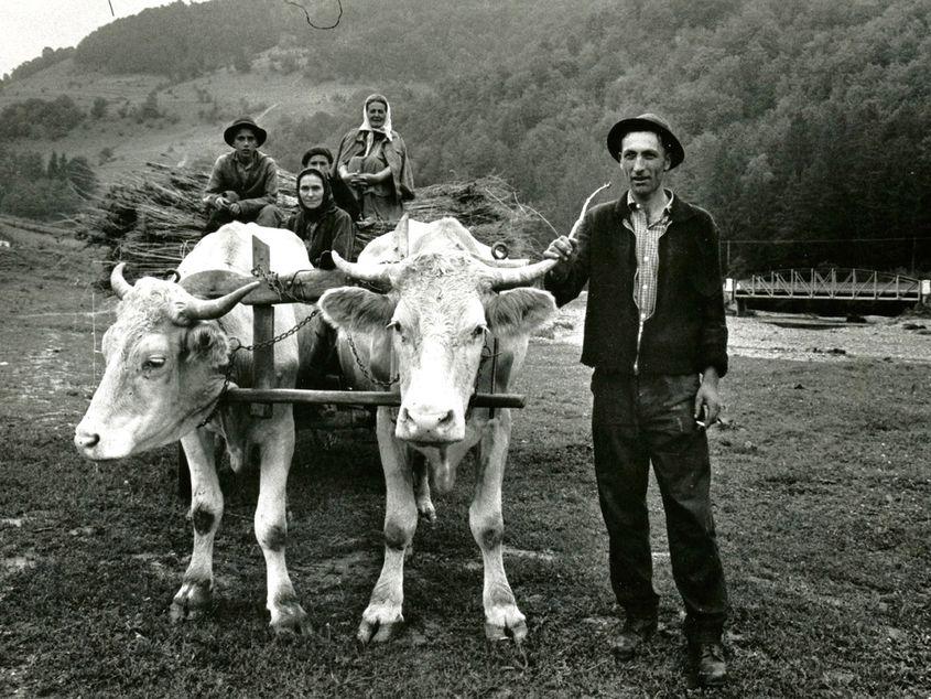 Fotografie din 1969, realizată de Nathan Farb în nordul Moldovei.