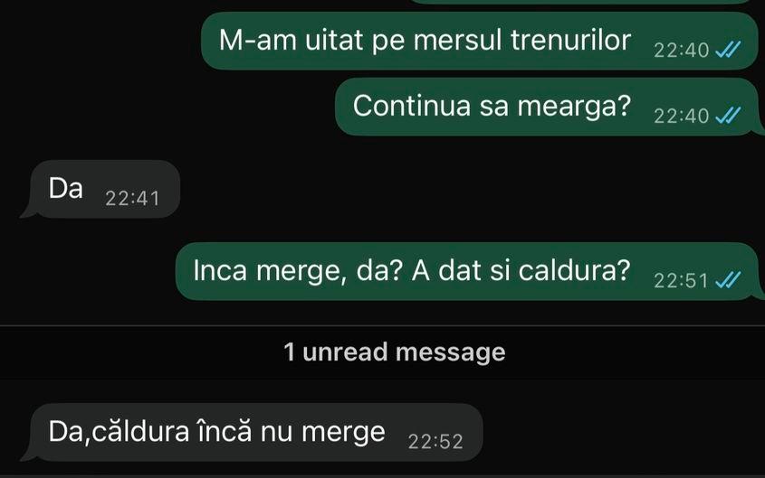 În ciuda temperaturilor scăzute, în compartimentul de tren nu a fost căldură Foto: captură ecran Laura Popa