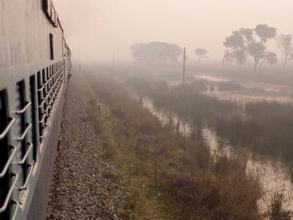 Perfecțiunea unei dimineți oarecare