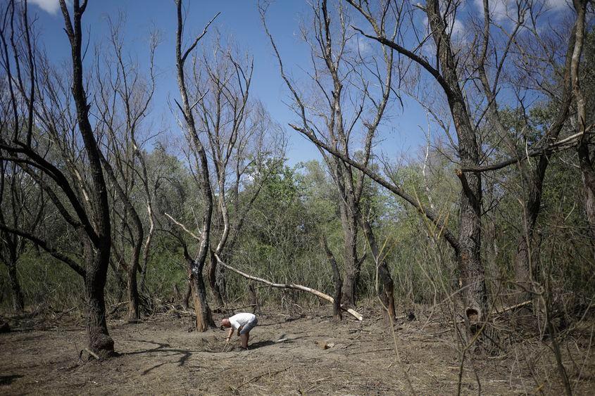 Zona unde, în septembrie 2023, ar fi căzut și explodat o dronă rusească, Plauru, Tulcea, Foto: Inquam Photos / Ovidiu Micsik