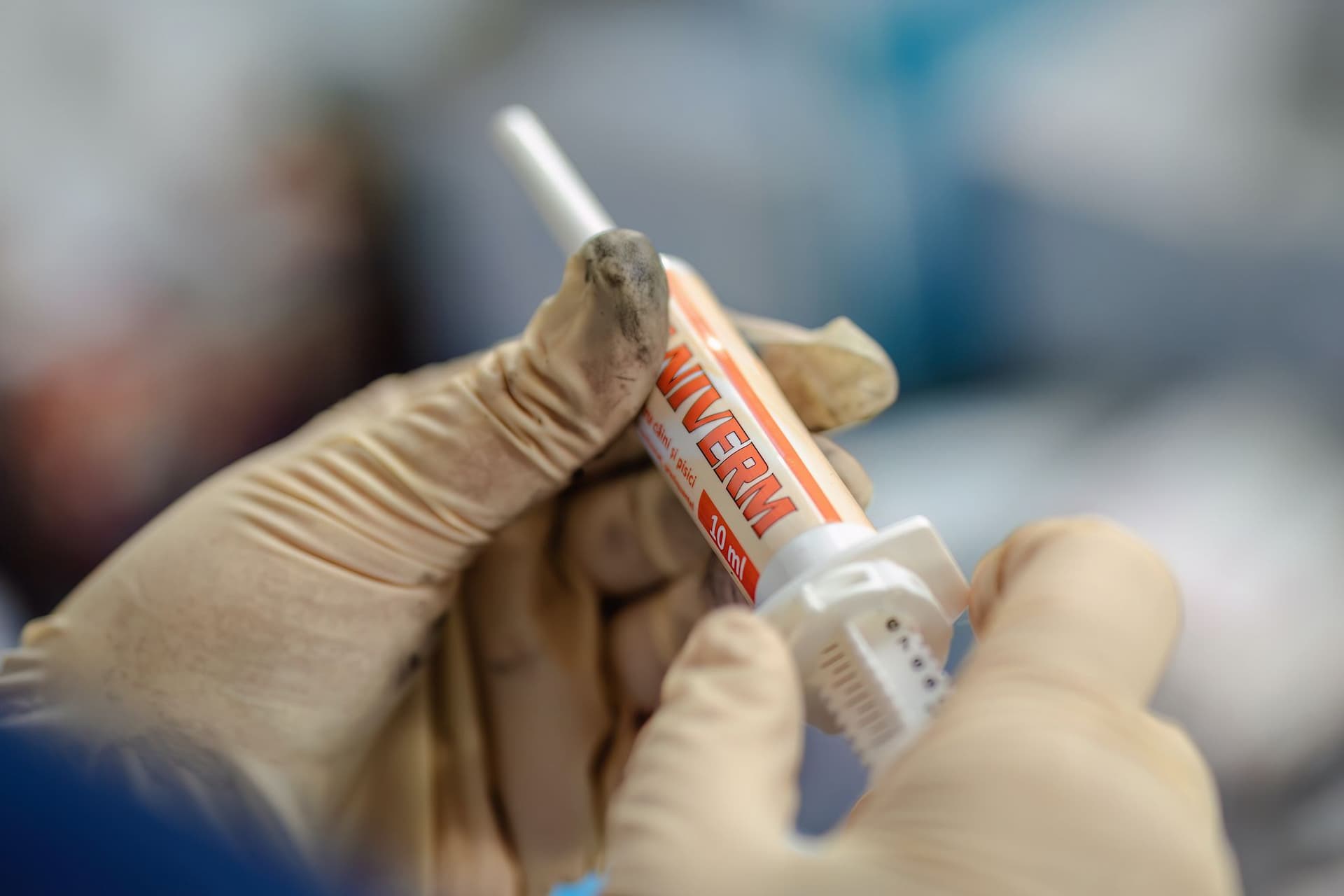 Foto: Loránd Vakarcs