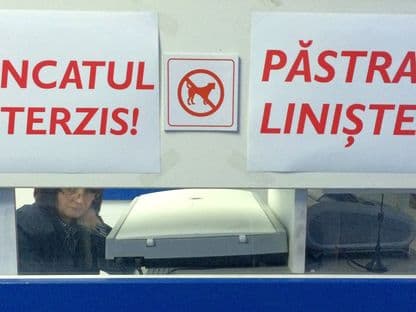 Cronicile unei societăți lichide