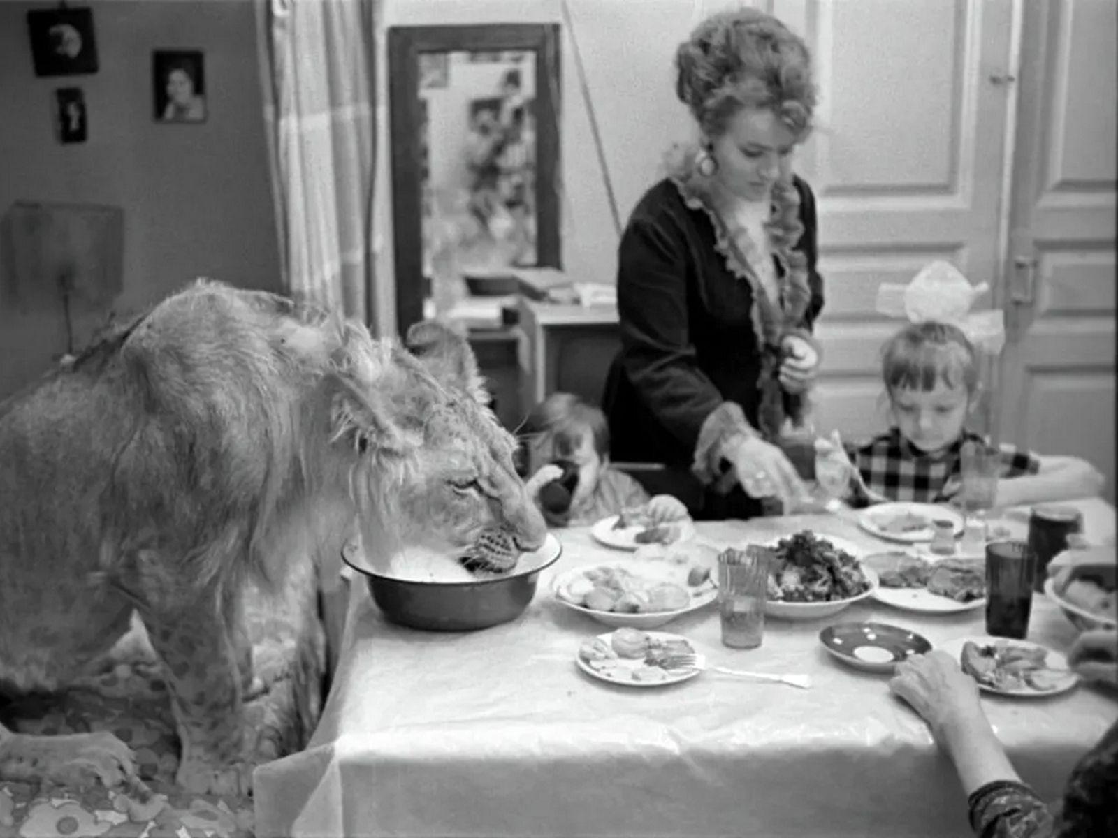 Foto: <a target="_blank" rel="noreferrer noopener" href="https://www.photoarchive.minerva.org.ro/Ro" target="_blank">Arhiva Minerva</a>