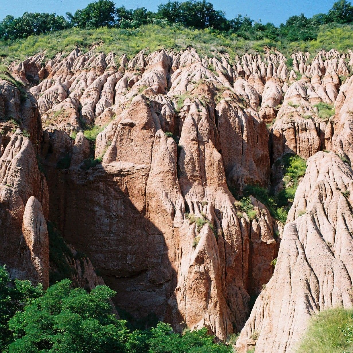 N-au sute de metri înălțime, dar sunt suficient de impunători pentru a te fascina. Foto: Lucian Muntean