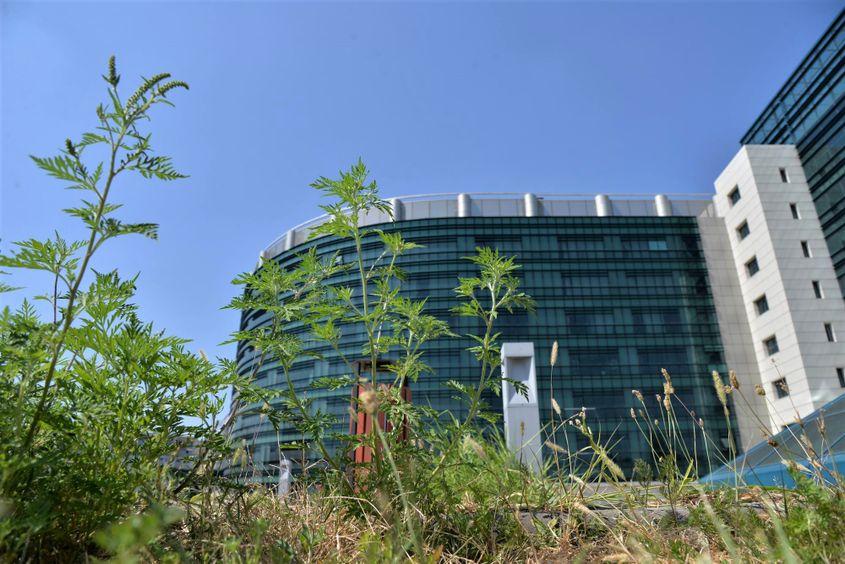 Ambrozie la Biblioteca Națională. Foto: Lucian Muntean