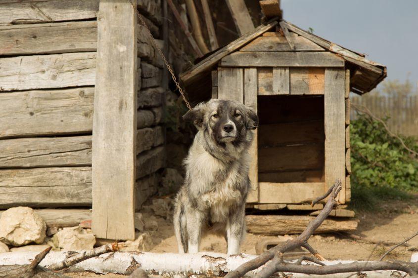 Foto: ID 33028445 © Marian Mocanu | Dreamstime.com