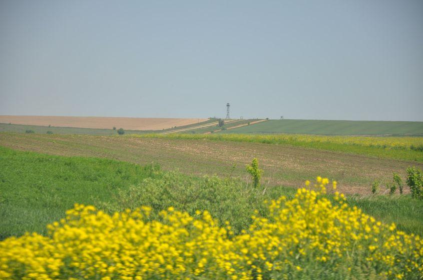 Granița dintre România și Ucraina, tăind Bucovina în două.