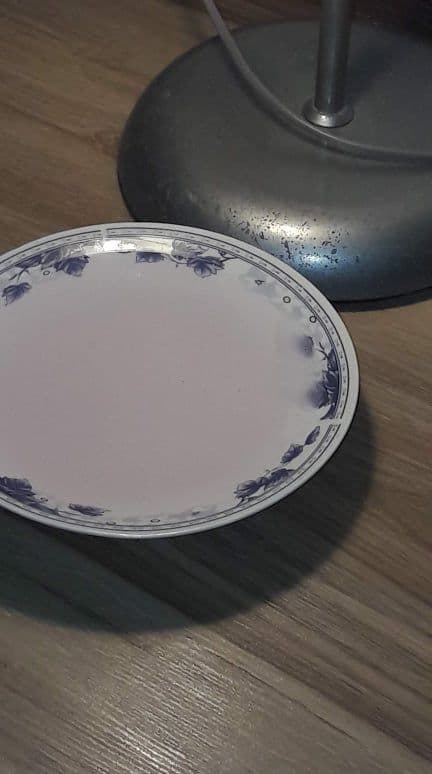 Capcana pentru purici: o farfurie cu apă și o lumină aprinsă deasupra