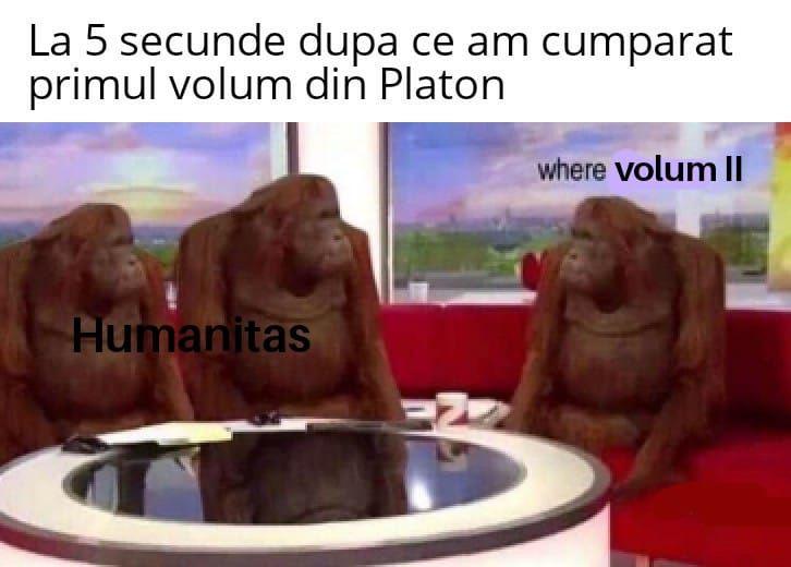 FOTO (c) Meme literare