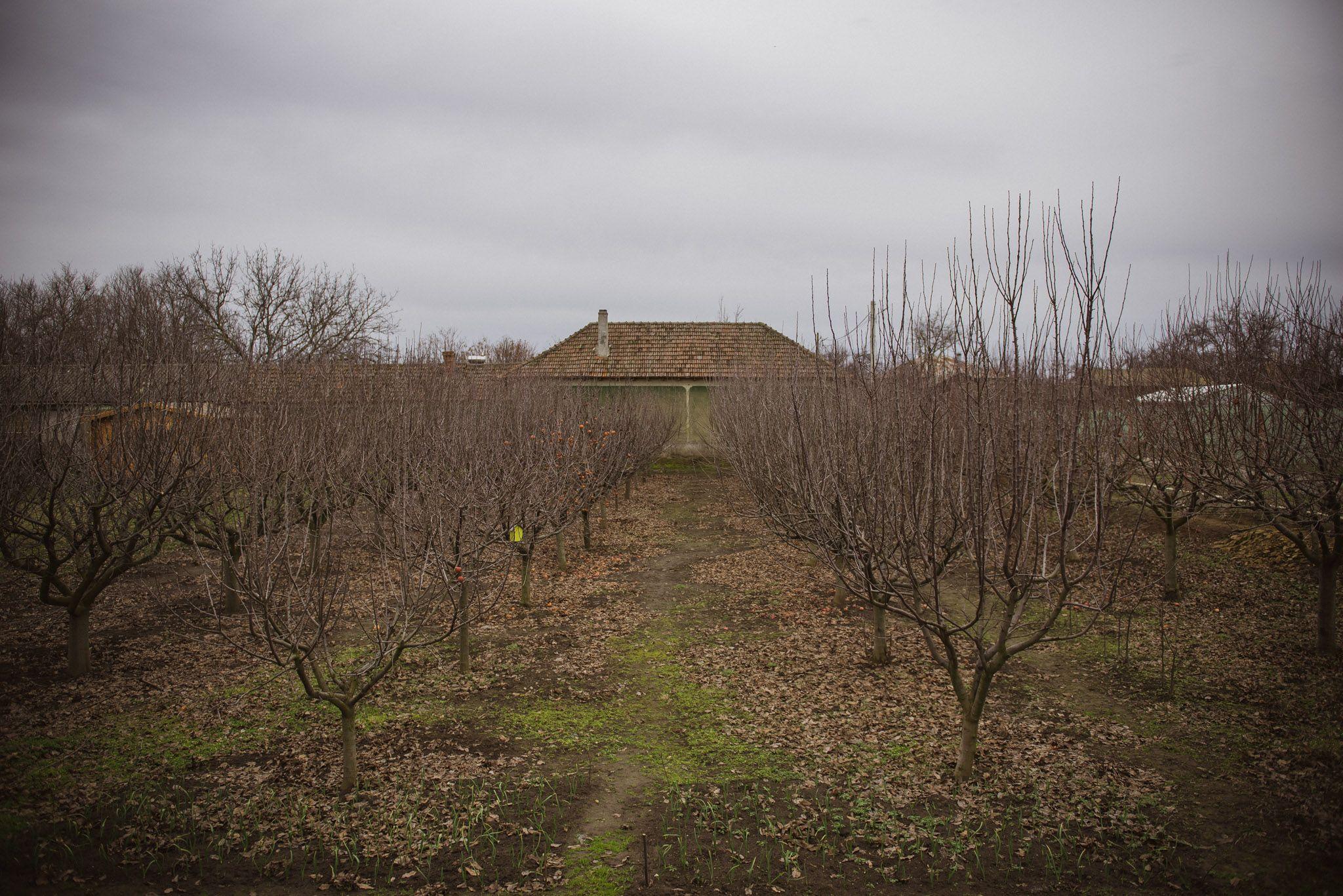 În jurul casei se întinde o livadă, într-un colț al grădinii se poate și campa sau sta într-o căsuță de glamping construită chiar de Octavian, care e aproape gata.