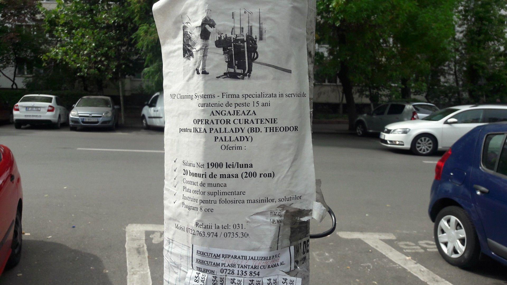 Anunțul firmei de curățenie la care reporterul PressOne a mers la interviu. Foto: Răzvan Filip