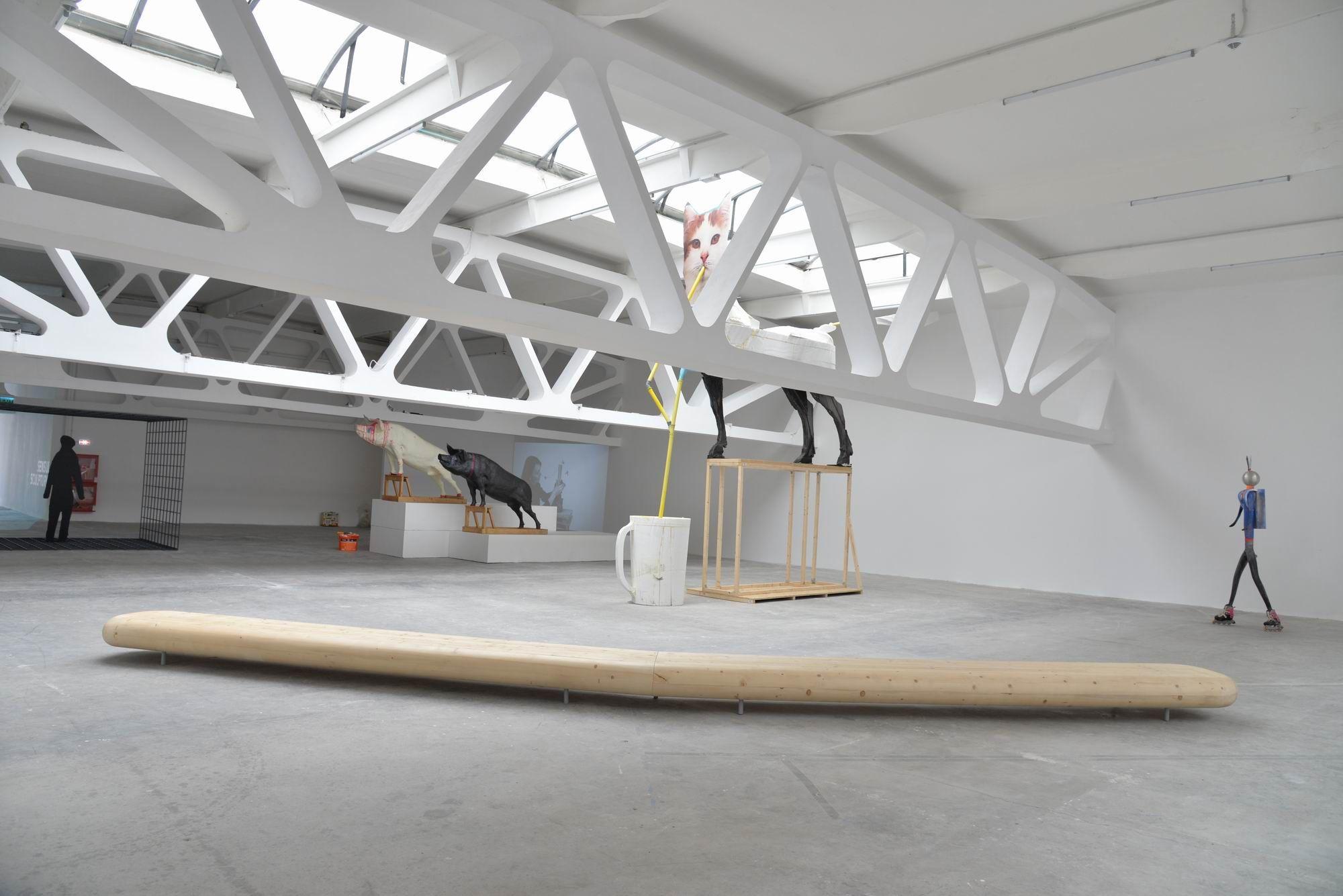 Sensul Sculpturii - Kunsthalle Bega. Foto Lucian Muntean