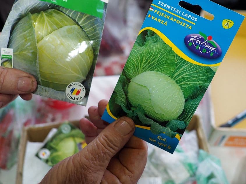 Două din zecile de plicuri cu felurite semințe risipite pe masă, așteptând zile mai calde.