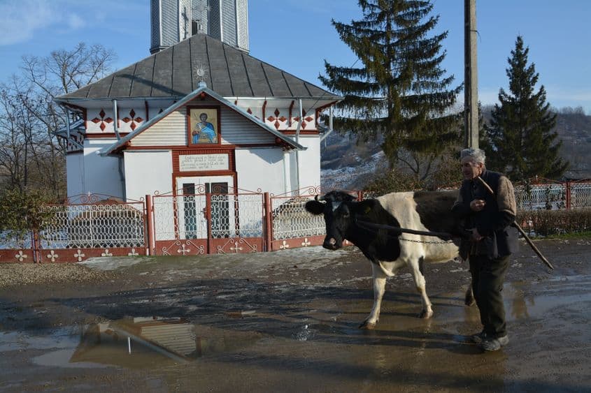 Când trece pe lângă biserică, moș Micu își scoate căciula și își face cruce. E credincios de mic, dar a devenit și mai credincios după ce i-a luat foc casa, în 1990. A zis că e un semn de la Dumnezeu. A fost ani de zile epitrop al bisericii din sat. Iar atunci când un trăsnet a doborât crucea de pe cupolă, a fost singurul care a avut curaj să se urce până sus, pe o schelă construită tot de el, și a pus altă cruce în loc.