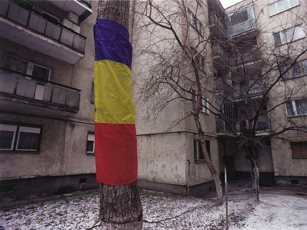 Patriotism local în Cartierul Mărăști, Cluj (Voicu B.)