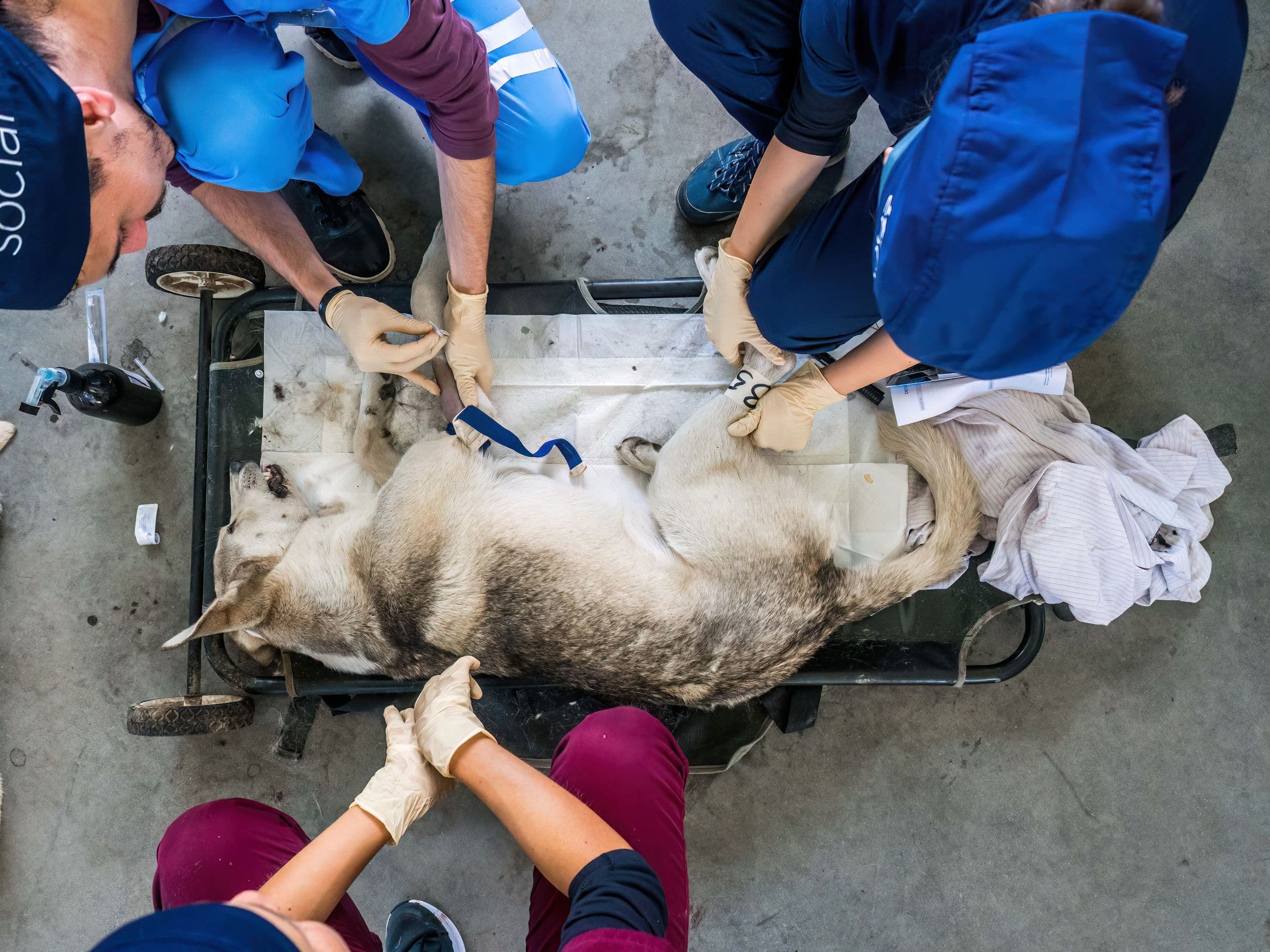 Foto: Loránd Vakarcs