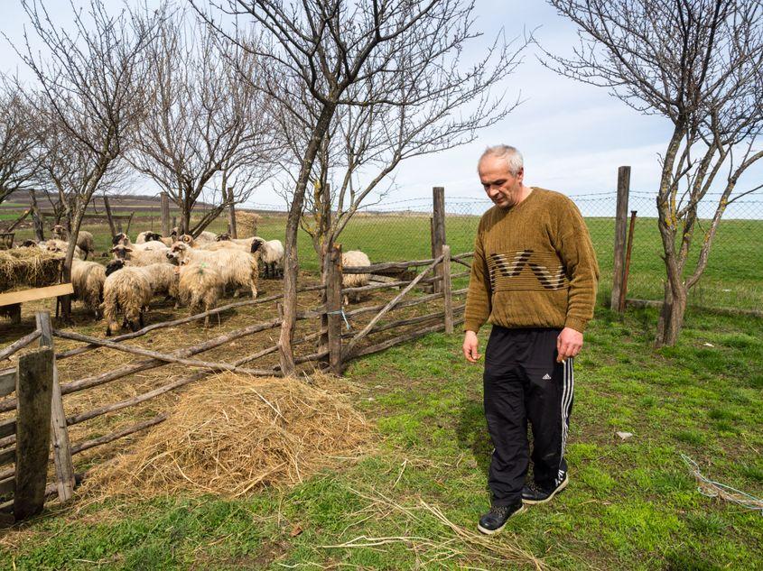 Oile donate de fermierii care i-au sărit în ajutor sibianului.