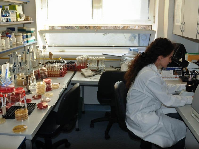 Lipsa viziunii privind Institutul Cantacuzino este un risc de siguranță națională. Foto: Lucian Muntean