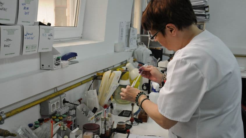 FOTO: Lucian Muntean