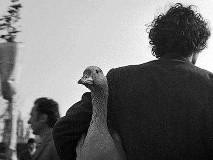 Frica în comunism. De ce se spunea că „pereții au urechi”?