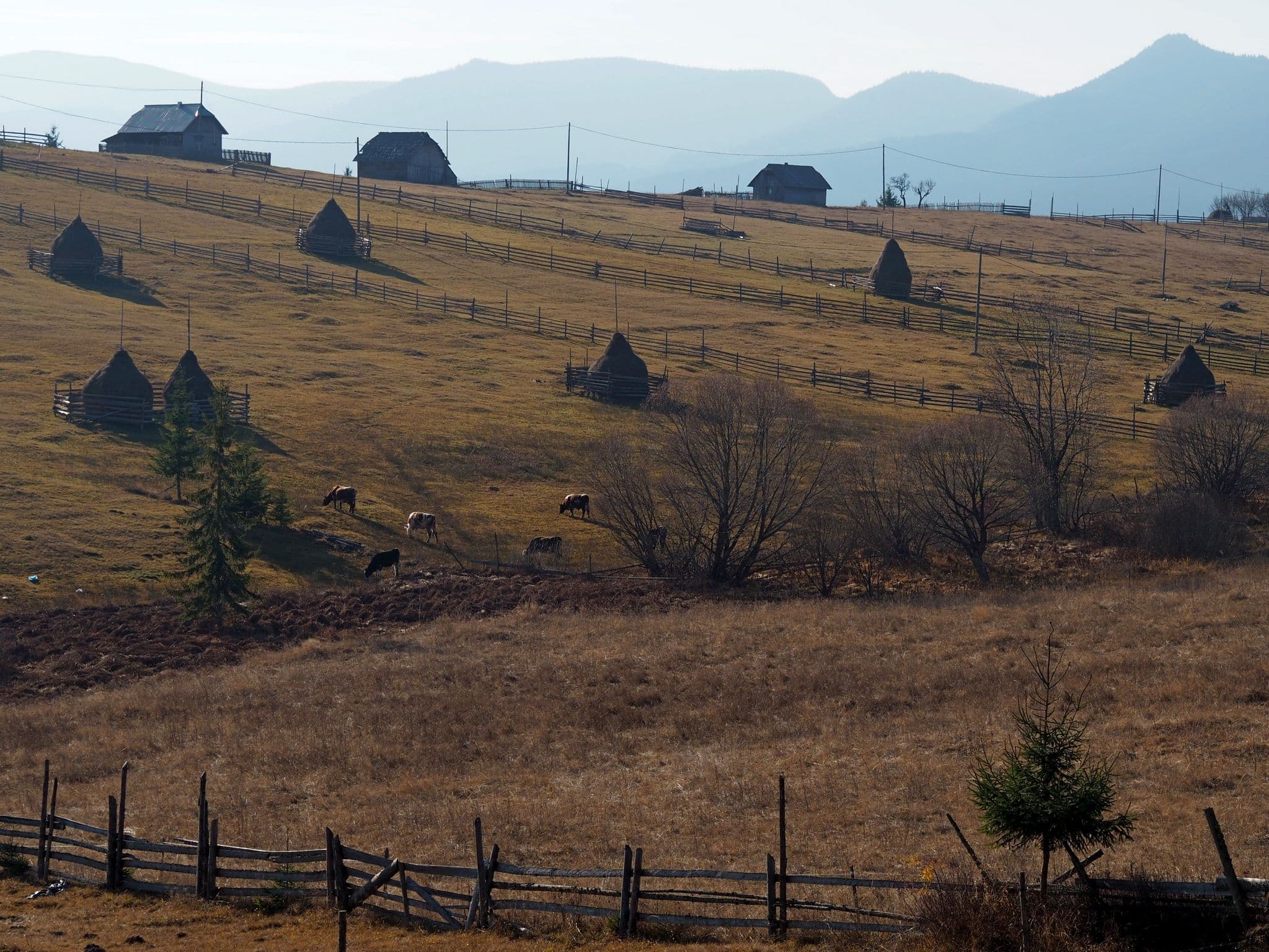 Poiana Negri - cu un i sau cu doi?